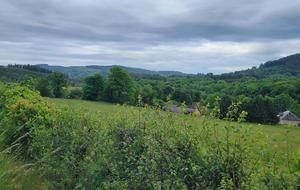 6a26ac9fc9377_20260503093120.jpg